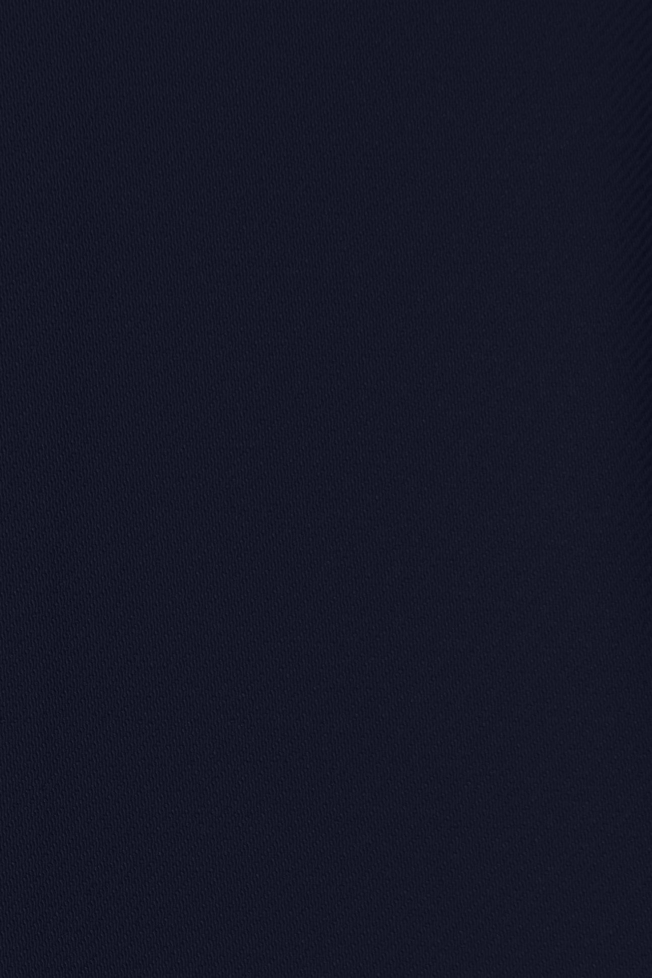 Juni Pleated V-Neck Jumpsuit with Sash Belt in Navy Blue