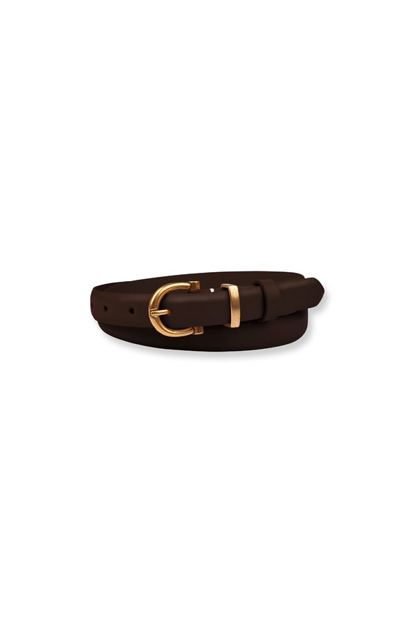 Dia Leather Waist Belt In Brown