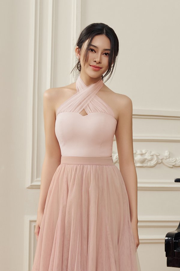 Vivienne Mesh Sweetheart Halter Crop Top in Petal Veil