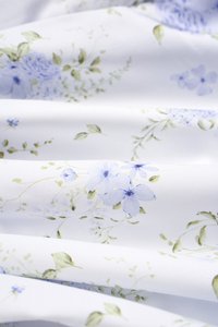 Amoryn Pintuck Ruched Mini Dress in Blue Blooming Bunches