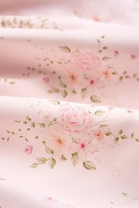 Amoryn Pintuck Ruched Mini Dress in Nude Blush Blooming Bunches