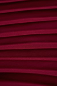 No&eacute;mie Padded Chiffon Ribbon Straps Pleated Jumpsuit in Wine Red