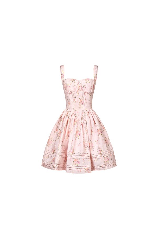 Amoryn Pintuck Ruched Mini Dress in Nude Blush Blooming Bunches