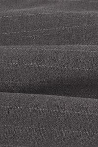 Jodin High Waist Pinstripe Pleated Wide Pants in Grey Pinstripe