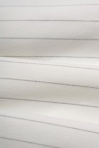 Jodin High Waist Pinstripe Pleated Wide Pants in Iconic White Pinstripe
