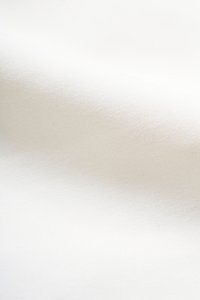 Jayne Broad Hem High Waisted Shorts in Iconic White