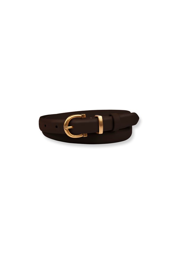 Dia Leather Waist Belt In Brown