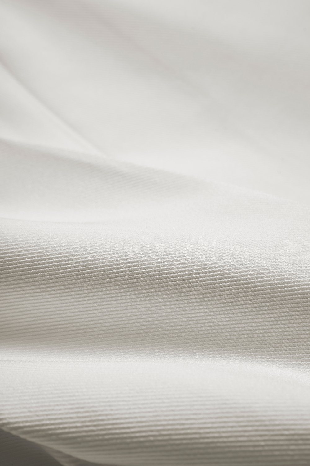 Winona Wide Leg Tailored Pants in Iconic White